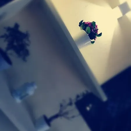 Alojamento de Acomodação e Pequeno-almoço Royal Dreams 4*